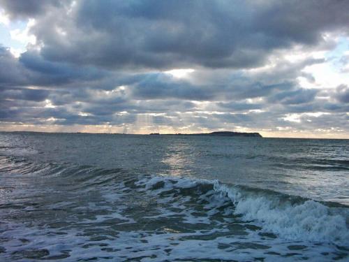 Stranddistel Comfortable holiday residence