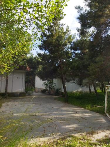 Sevan Guest House, Tsamakaberd (фото 8)