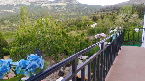 Los Cabales in Torres