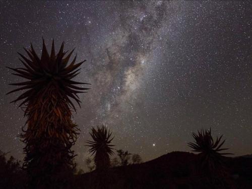 Doornkraal Tuinhuis Doornkraal Tuinhuis
