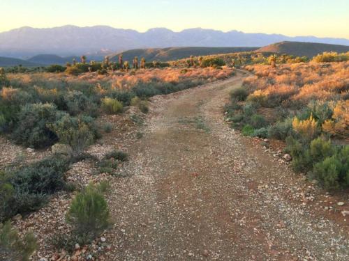 Doornkraal Tuinhuis Doornkraal Tuinhuis