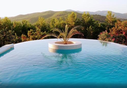 Ibiza large and luxurious Finca in very exclusive environment
