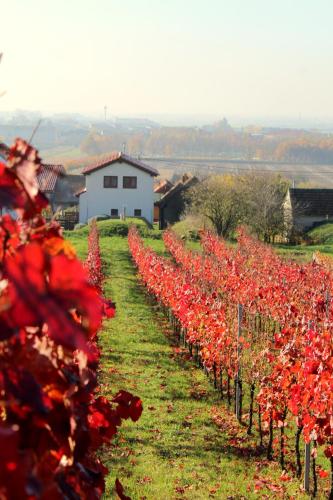 Ubytovani Valentovi - image 6