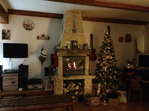 Casa Genesini - main image