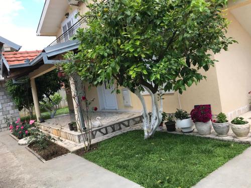 Apartment K2 in رادانوفيشي