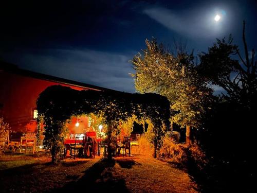 Poggio la Luna la casa nel vigneto