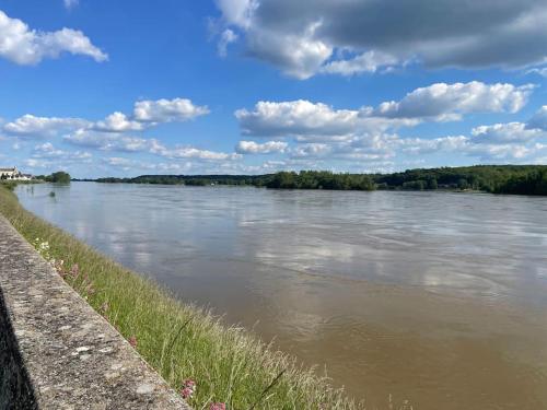 Maison bord de Loire in เฌอเนอวิต แทรฟ คูโนลต์