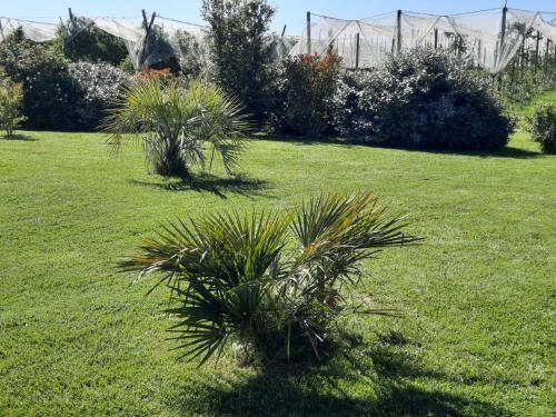 Petit Coin De Paradis – Montauban, WY