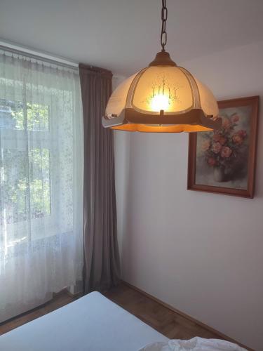 Pod Sosnami Pod Sosnami