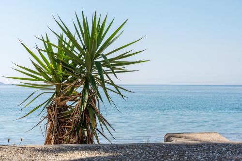 주변 환경, Γκαρσονιέρα 2 δίπλα στη θάλασσα! (Γκαρσονιερα 2 διπλα στη θαλασσα!) in 안티키라