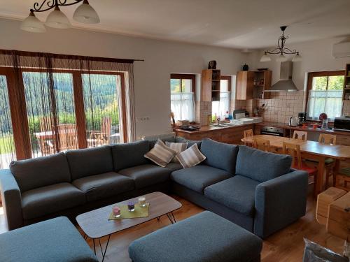 Közös társalgó / TV, Brónok-völgy Vendégház (Bronok-volgy Vendeghaz) in Erdőbenye