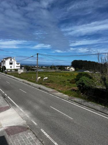 Apkārtne, APARTAMENTO FOZ Imr in Cordido
