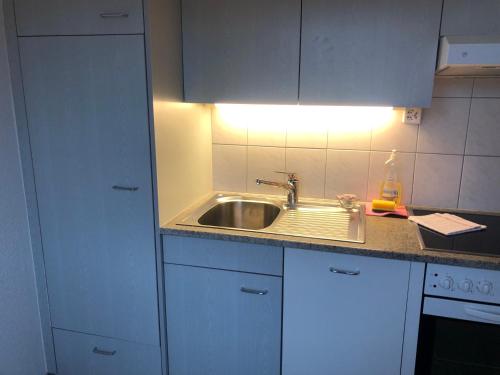 Cozy, sunny, city center 1 bedroom flat (Marble 3), Curych (fotografie 3)
