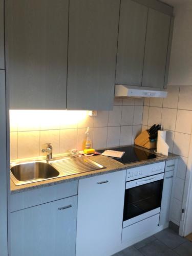 Cozy, sunny, city center 1 bedroom flat (Marble 3), Curych (fotografie 4)