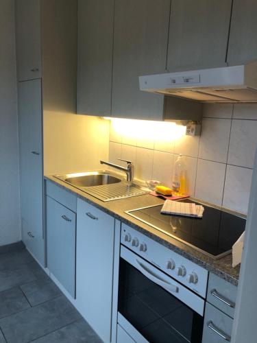 Cozy, sunny, city center 1 bedroom flat (Marble 3), Curych (fotografie 6)