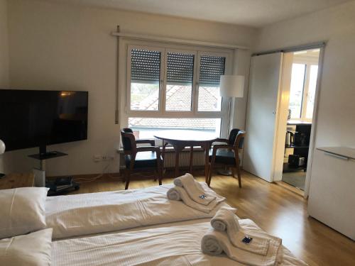 Cozy, sunny, city center 1 bedroom flat (Marble 3), Curych (fotografie 7)