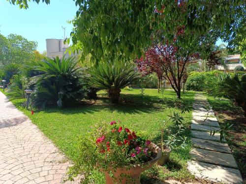 B & B Villa Flora, Mondello (fotografie 7)