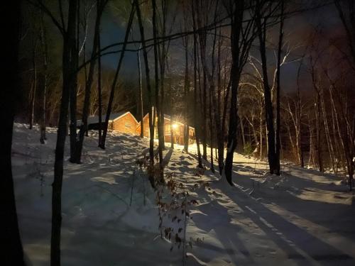 Cabin in the Woods in Sandgate, USA