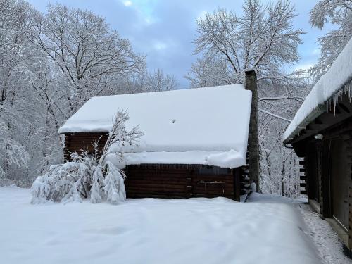 Cabin in the Woods in Sandgate, USA