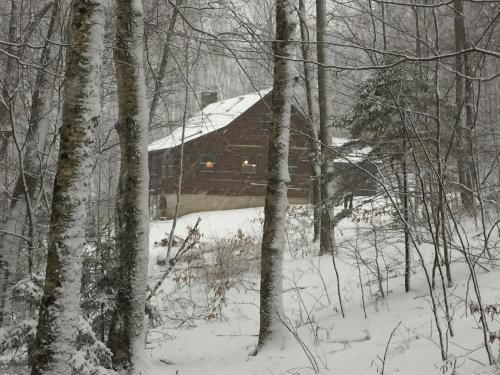 Cabin in the Woods in Sandgate, USA