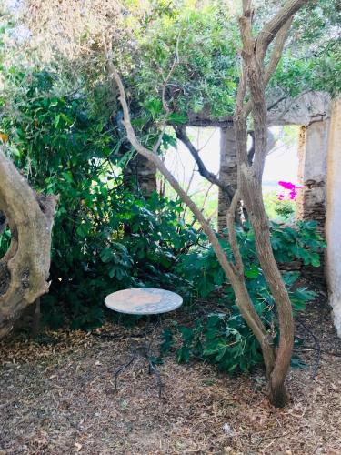 La maison, Triandaros La maison, Triandaros