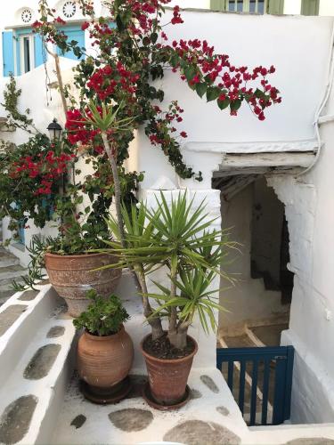 La maison, Triandaros La maison, Triandaros