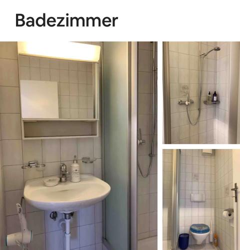 25m2 Studio with Kitchen in Zürich, Zúrich (foto 5)