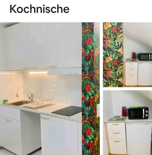 25m2 Studio with Kitchen in Zürich, Zúrich
