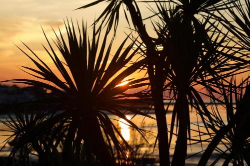 The Commodore Hotel – Instow