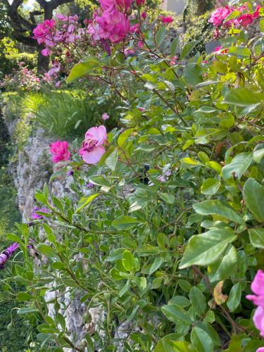 Villa Daphné Villa Daphné