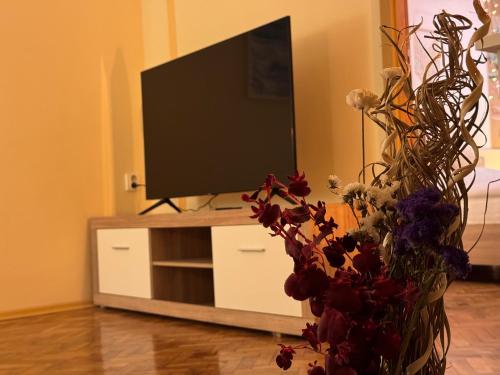 Cozy and quiet central apartment, Sofia (Foto 8)