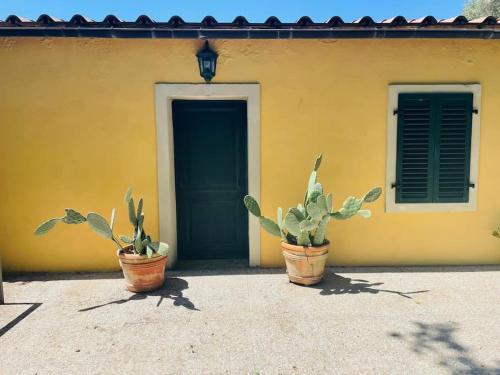 Private Villa - Retreat between Siena and the Sea