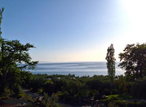 Pool & Jacuzzi Halkidiki