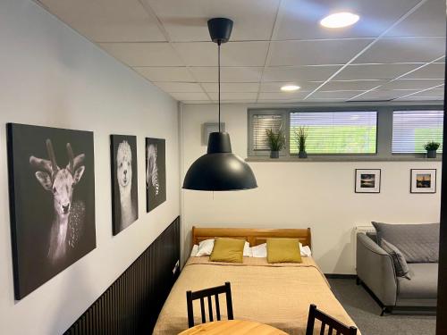 Apartament nad jeziorem Sukiel z własną plażą - image 2