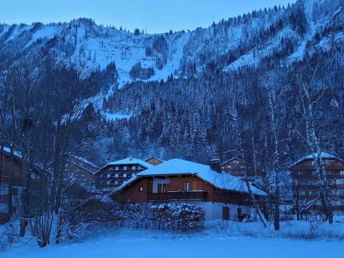 Bel appartement entre lac et montagne in Thollon-les-Memises