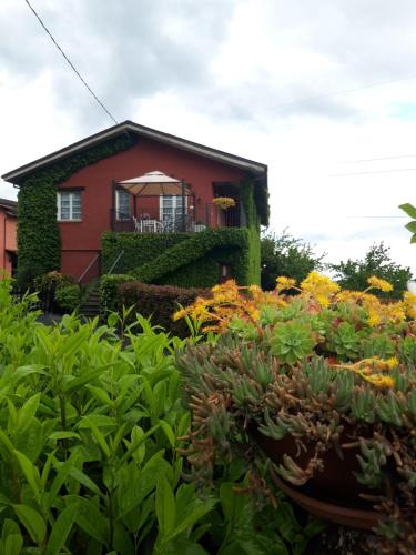 . Agriturismo IL BIANCOSPINO Bed & Wine