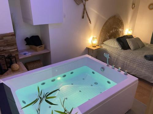 Lover Dose SPA Vierzon - Location saisonnière - Vierzon