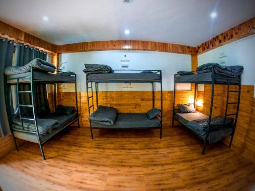 Odin Hostel Jibhi