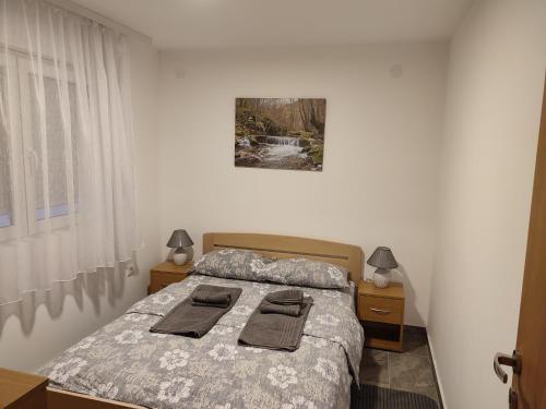 MP Apartman, Soko Banja (foto 4)