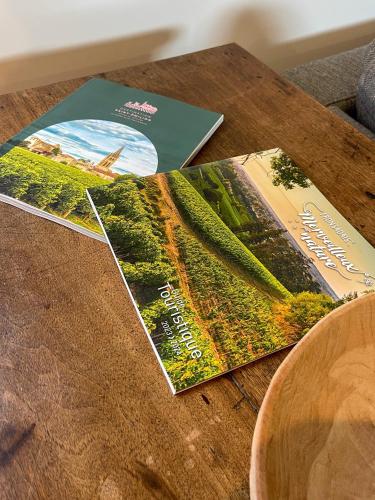 Maison cosy avec vue sur les vignes.