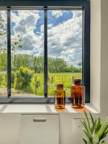 Maison cosy avec vue sur les vignes.