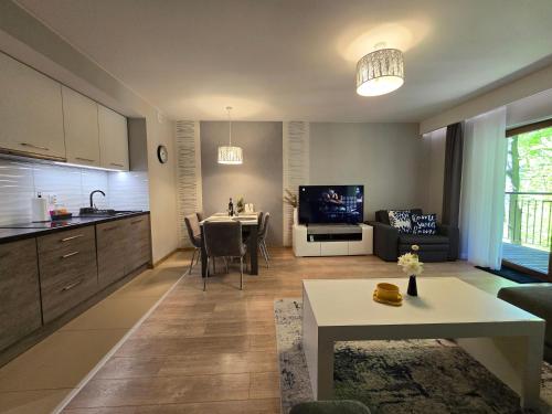 Apartament z pięknym widokiem na las, Szklarska Poręba (zdjęcie 7)