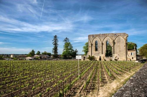 Maison cosy avec vue sur les vignes.