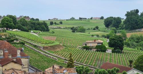 Maison cosy avec vue sur les vignes.