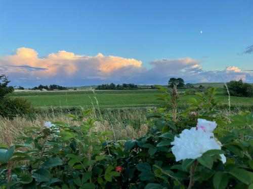 Ängahuset (Angahuset) in 斯科訥