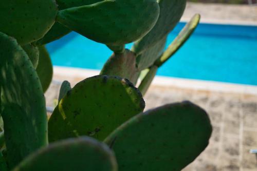 Masseria Trullo Sovrano Exclusive B&B – Cisternino, AR