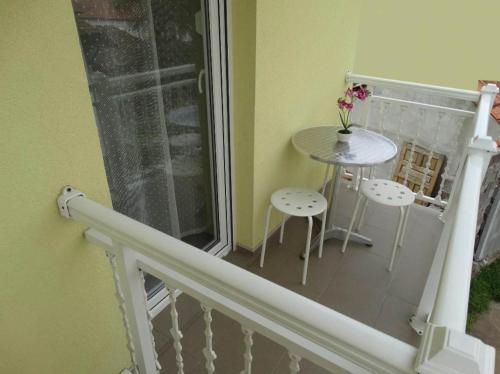 Vila Jenic in Soko Banja