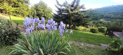 Casa Titina Riposo e Relax nella campagna toscana