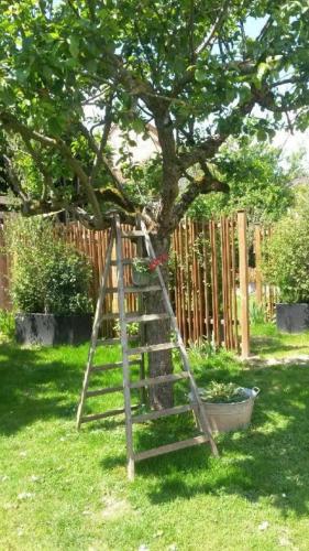 Les Co Gîte - image 3