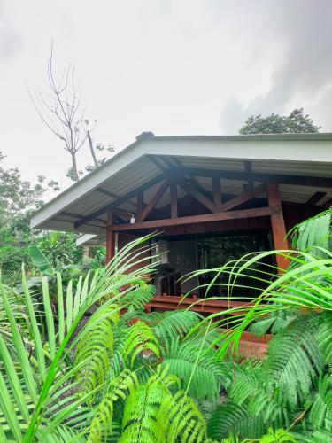 Cabañas del Bosque